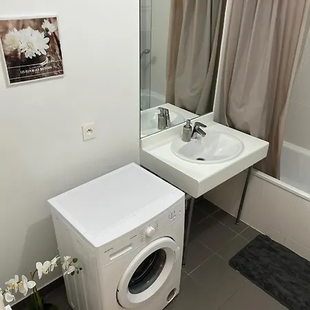 Appartement F2 Avec Grande Terrasse