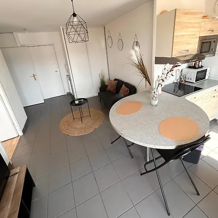 Appartement F2 Avec Grande Terrasse *